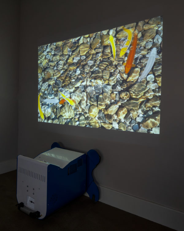 height adjustable interactive projector for floor, table or wall displaying a rippling pond with swimming fish controlled through hand detection interactive technology